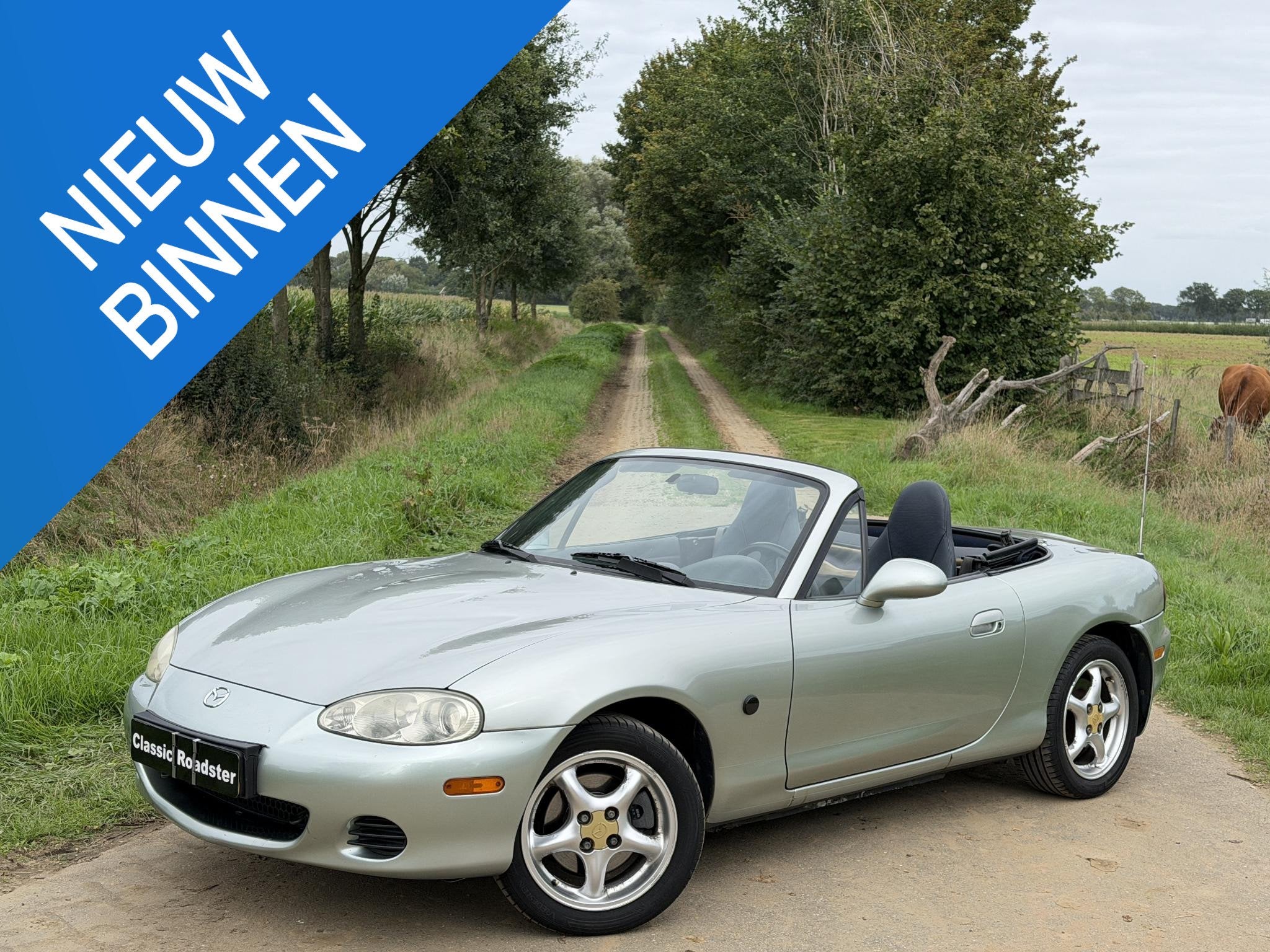 Mazda MX-5 NBFL 1.6i 110PK SILVER BLUES, OPKNAPPER, PROJECT!, Auto's, 4 cilinders, Cabriolet, 1010 kg, Bedrijf