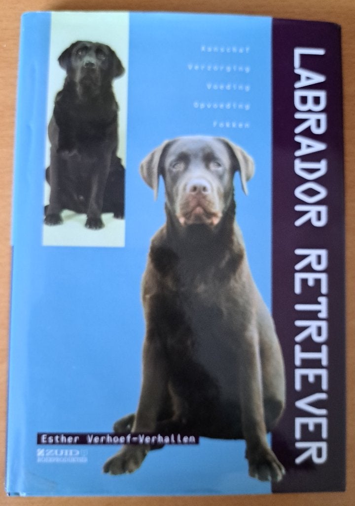 LABRADOR RETRIEVER - Esther Verhoef-Verhallen, Ophalen of Verzenden, Zo goed als nieuw, Honden, Esther Verhoef-Verhallen