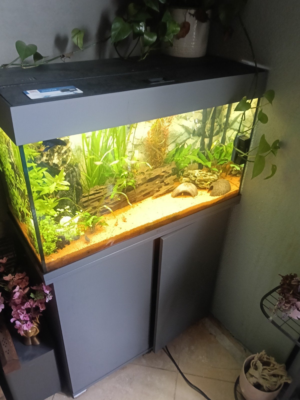 Juwel rio 125, Dieren en Toebehoren, Ophalen, Zo goed als nieuw, Gevuld zoetwateraquarium, Juwel