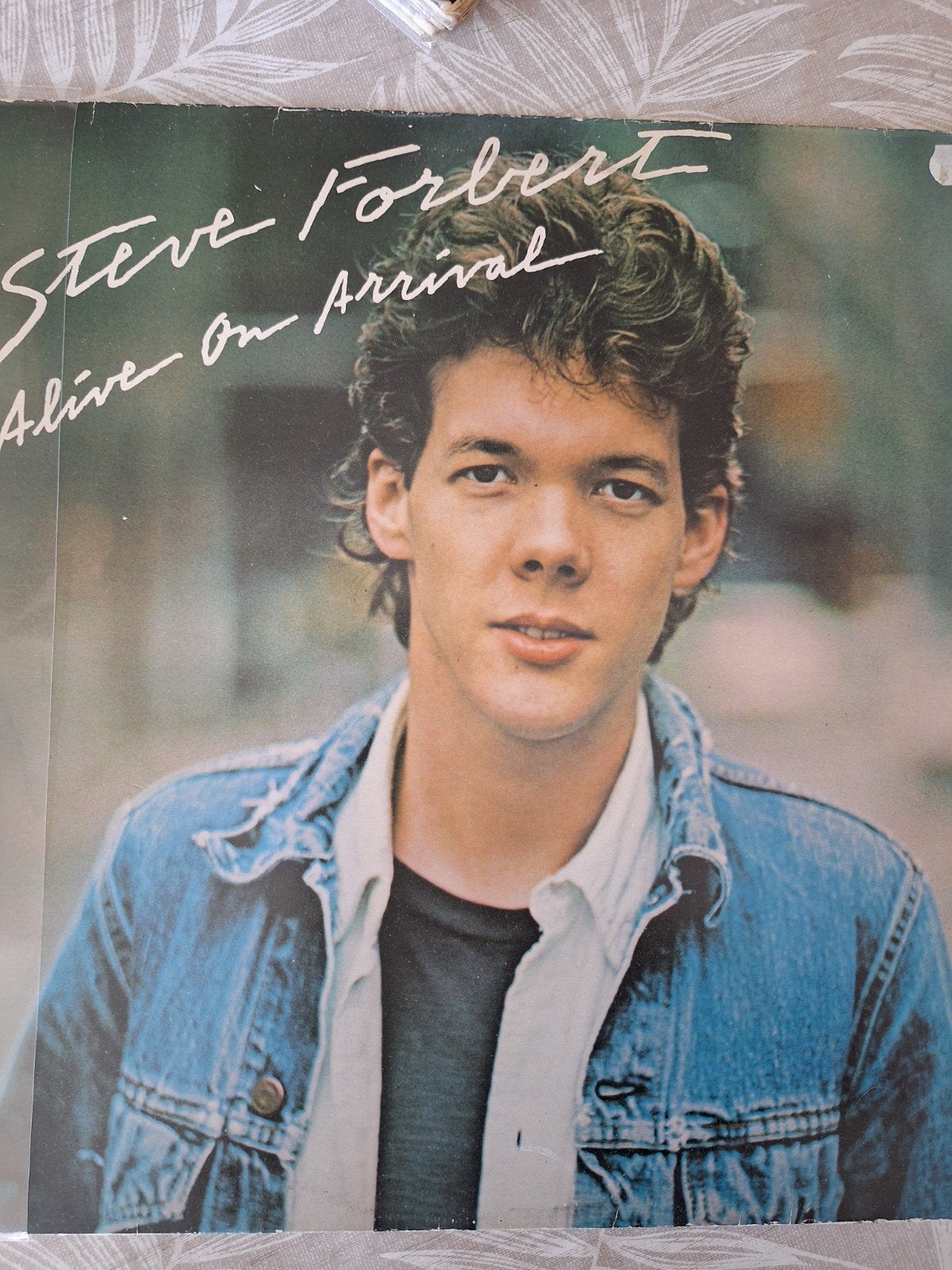 Steve Forbert - Alive on Arrival (LP, 1978), Ophalen of Verzenden, Gebruikt, 12 inch