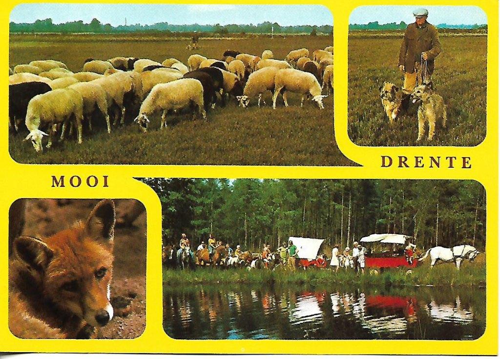 Drenthe- -4-luik., Verzenden, 1980 tot heden, Gelopen, Drenthe