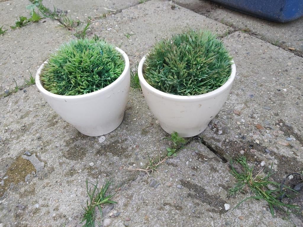 2 Leuke potjes met nepbloemen, Huis en Inrichting, Onderhoudsvrij, Kunstplant, Ophalen of Verzenden, Kunststof
