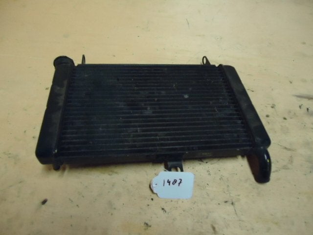 YZF600R 1996 - 2003 Yamaha Radiator D1-20684