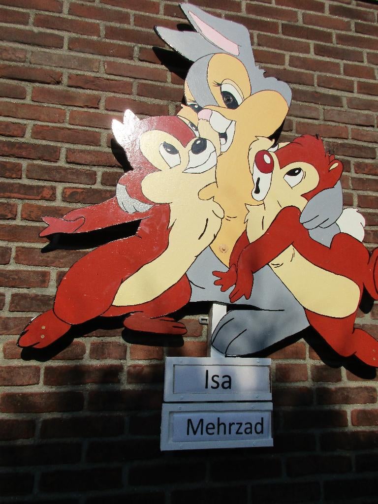 Geboortebord voor tweeling, geweldige keuze de goedkoopste!, Kinderen en Baby's, Kraamcadeaus en Geboorteborden, Ophalen, Nieuw