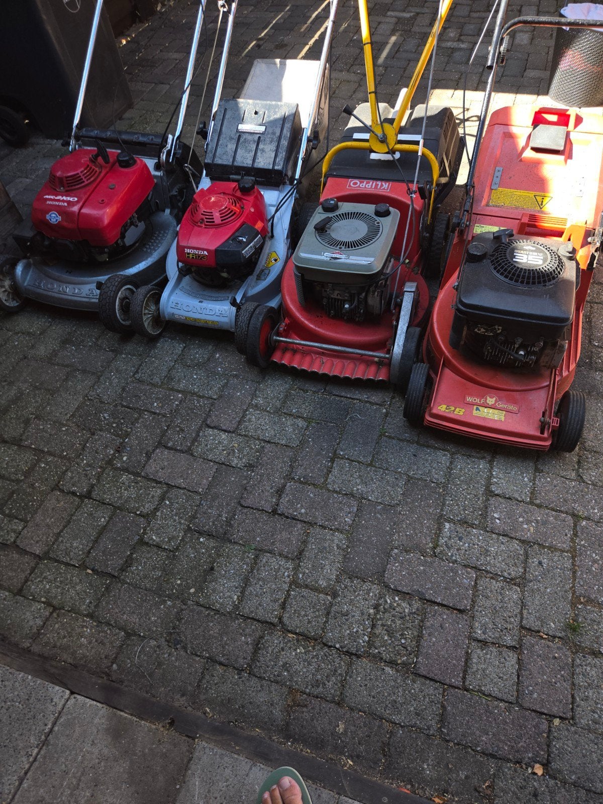 4x Grasmaaier - 2xHonda, Klippo, Wolf-Garten, Cirkelmaaier, Gebruikt, Honda, Klippo, Wolf-Garten, Ophalen of Verzenden