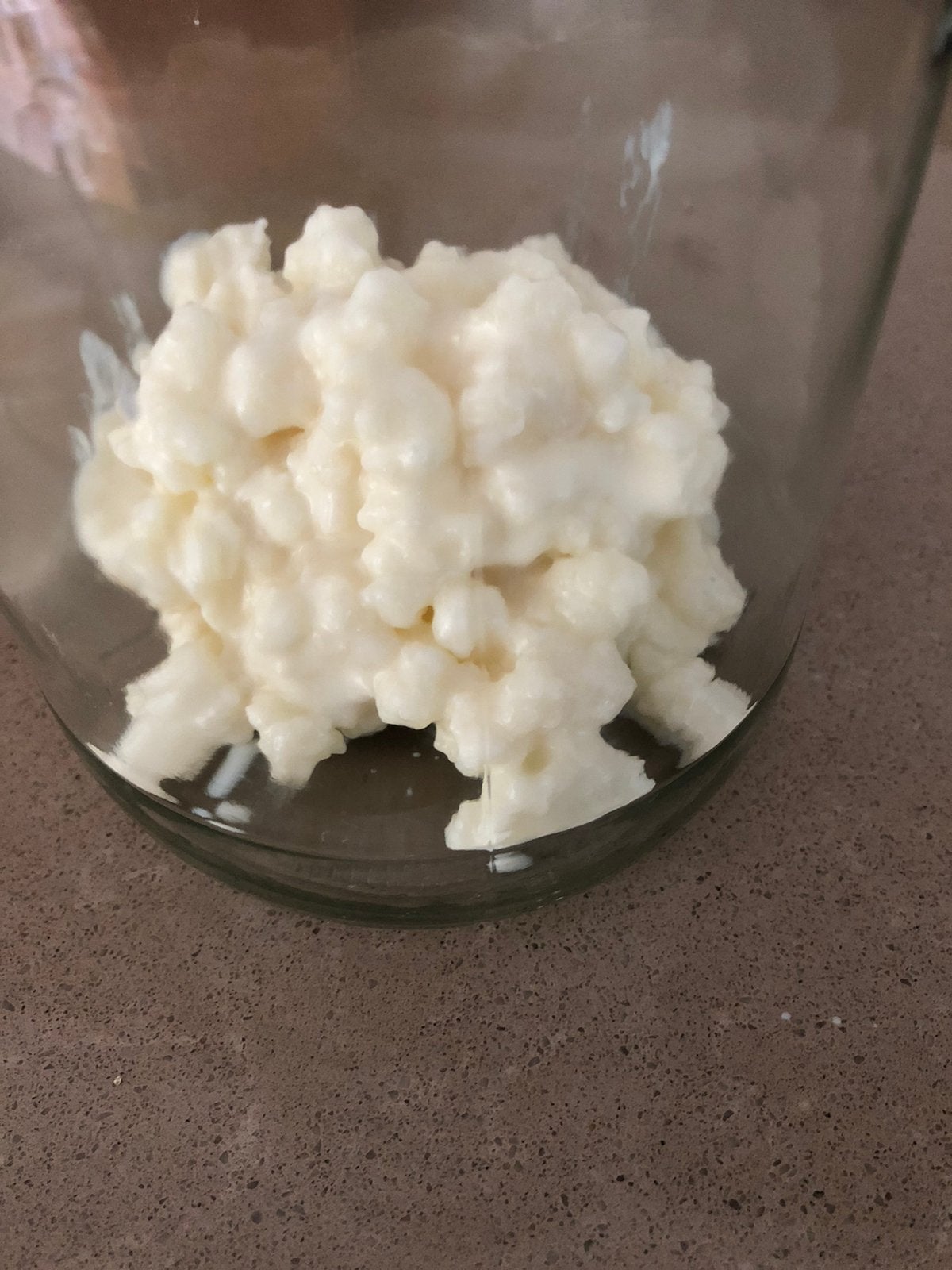 50 gram actieve melkkefirkorrels, Diversen, Ophalen