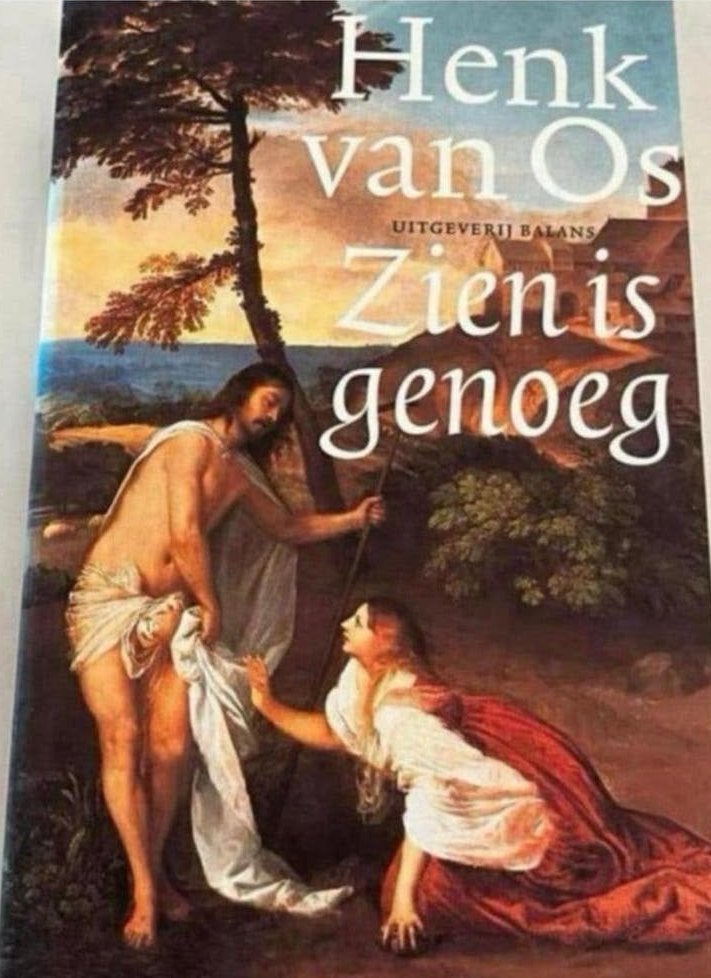 Zien is genoeg - Henk van Os (Kunsthistoricus), Ophalen of Verzenden, Gelezen, Henk van Os