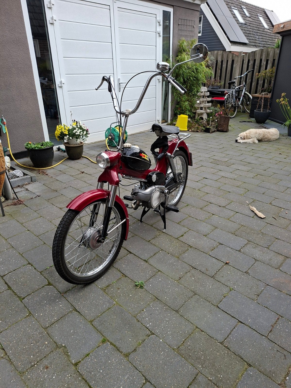 Puch MS,50Bromfiets Onderdelen & Motorblok, Ophalen, Gebruikt, Overige typen
