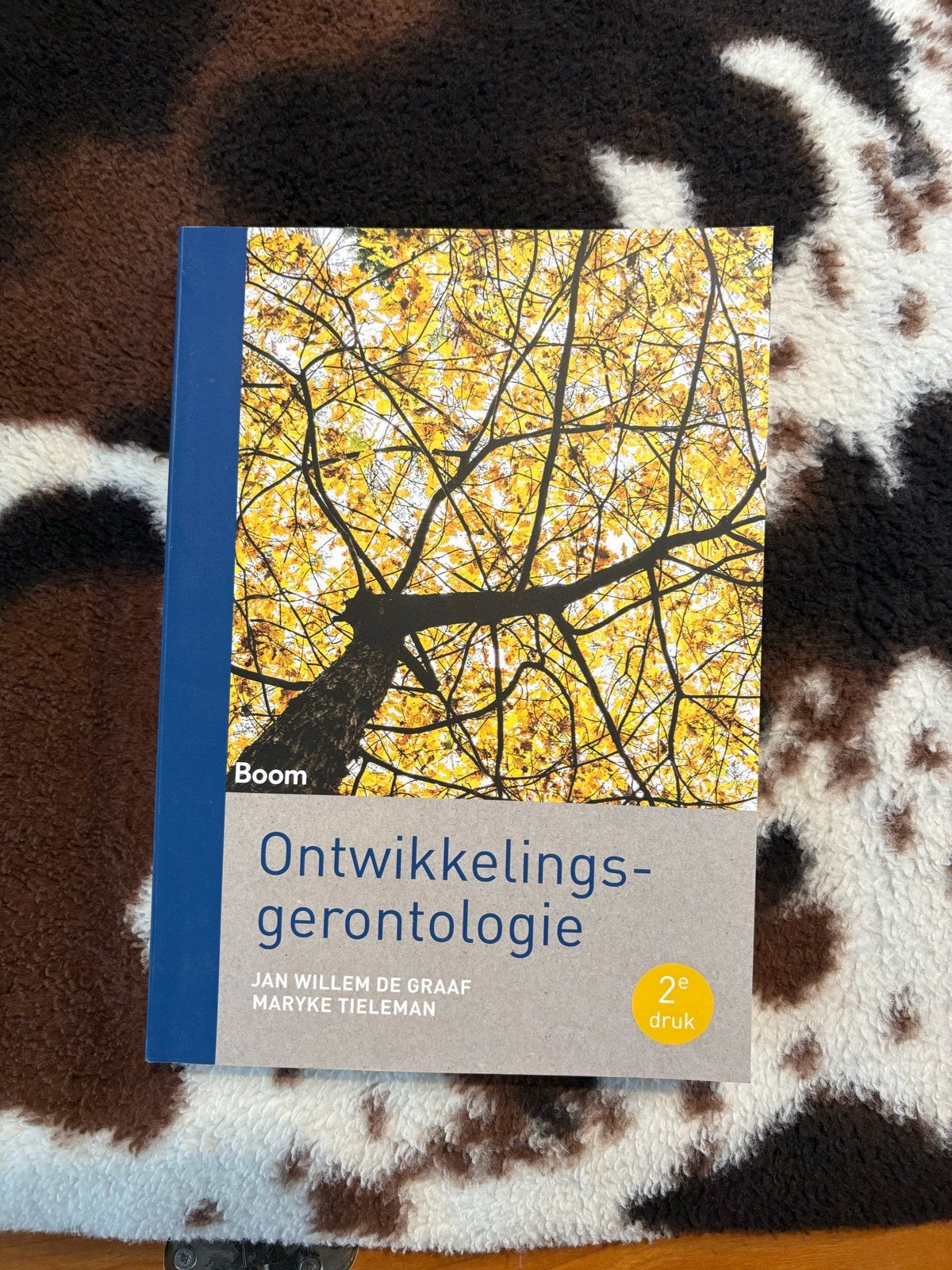 Ontwikkelingsgerontologie - 2e druk, Ophalen of Verzenden, Gamma, Zo goed als nieuw, HBO