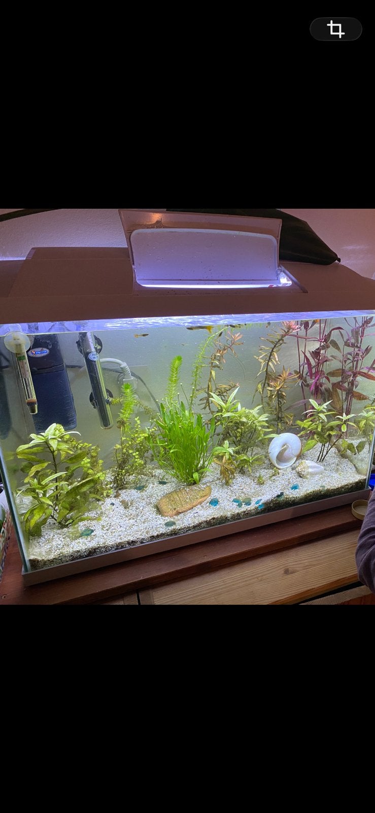 Aquarium 70 liter Superfisch start tropical inc toebehoren, Ophalen, Zo goed als nieuw, Leeg aquarium