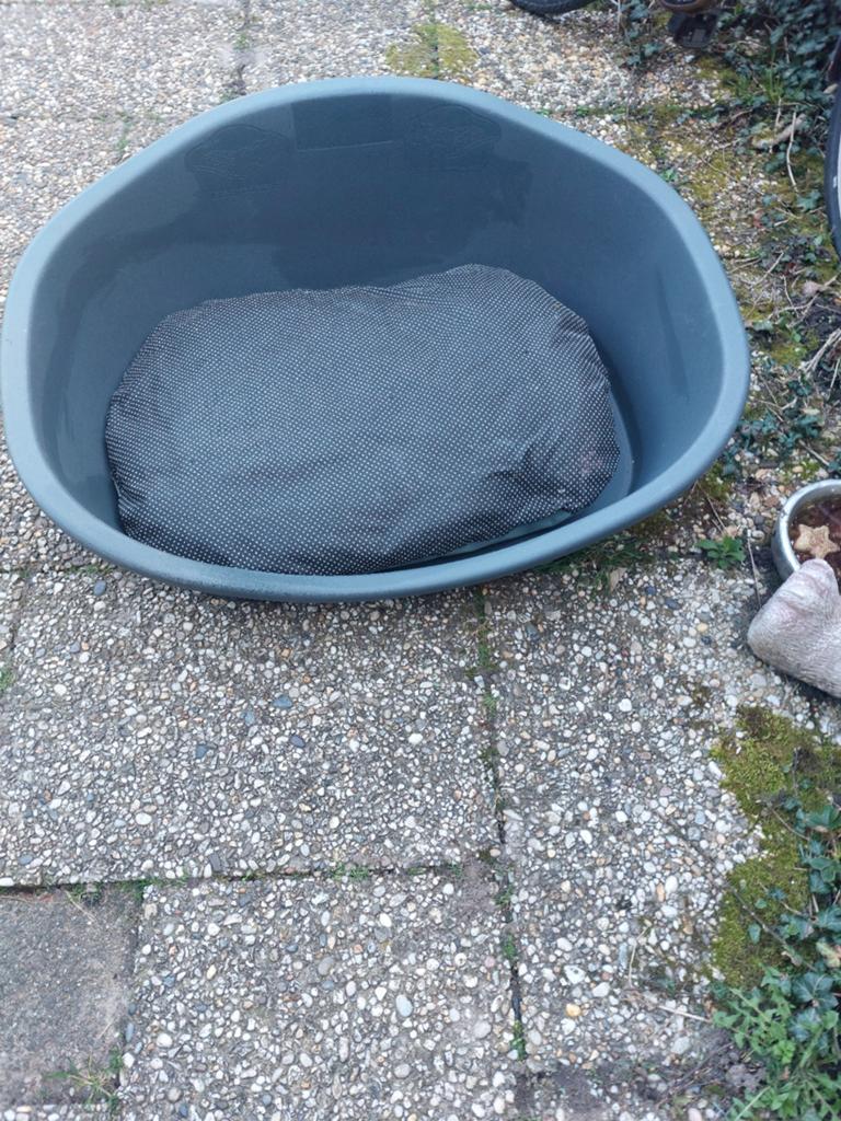 Hondenmand, Dieren en Toebehoren, Ophalen of Verzenden, Overige