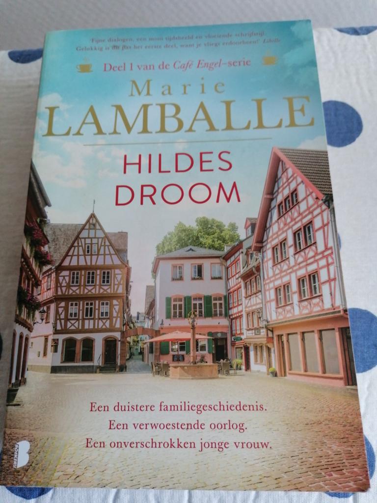 Marie Lamballe - Hildes droom, Ophalen of Verzenden, Gelezen, Marie Lamballe