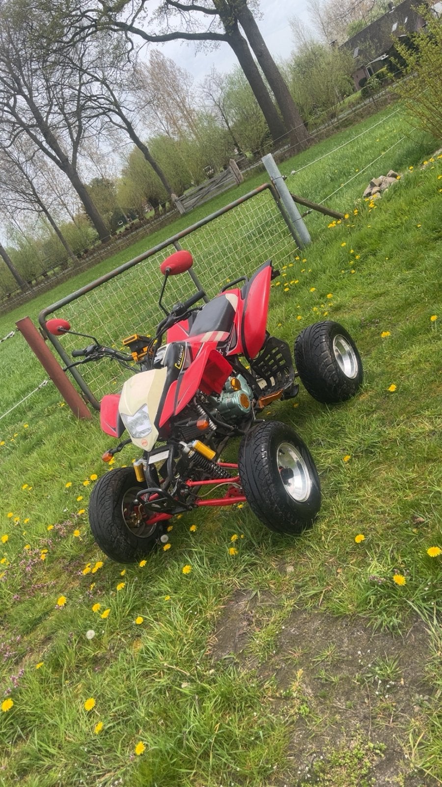 Bashan Catbrier quad, Motoren, 200 cc, 1 cilinder, 12 t/m 35 kW
