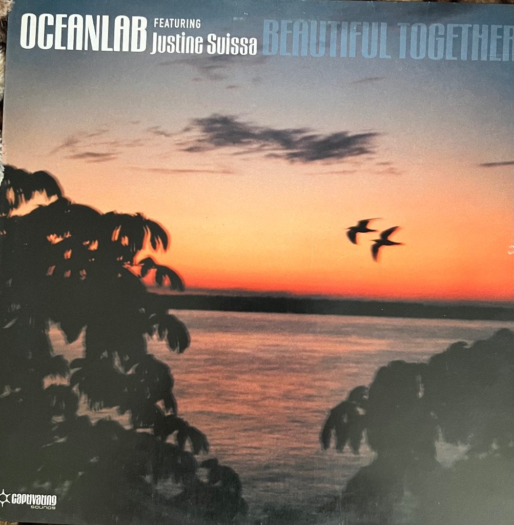 Oceanlab. Beautiful together, Trance, Ophalen of Verzenden, Zo goed als nieuw, Inclusief binnenhoes