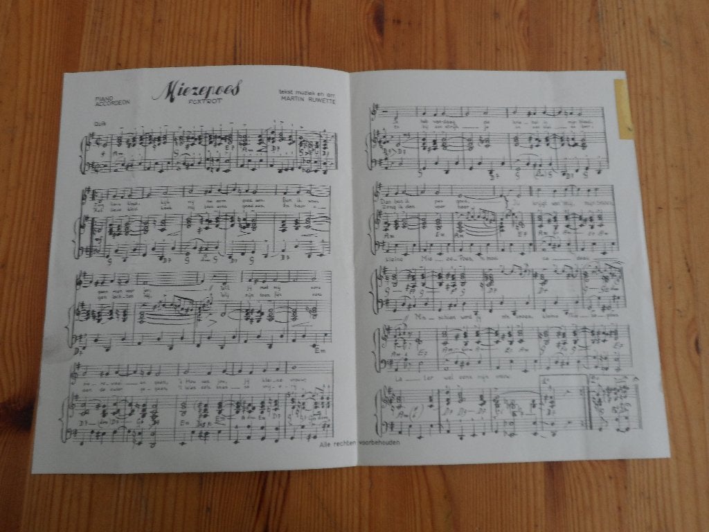 Miezepoes - martin ruwette, Gebruikt, Gitaar, Ophalen of Verzenden, Artiest of Componist