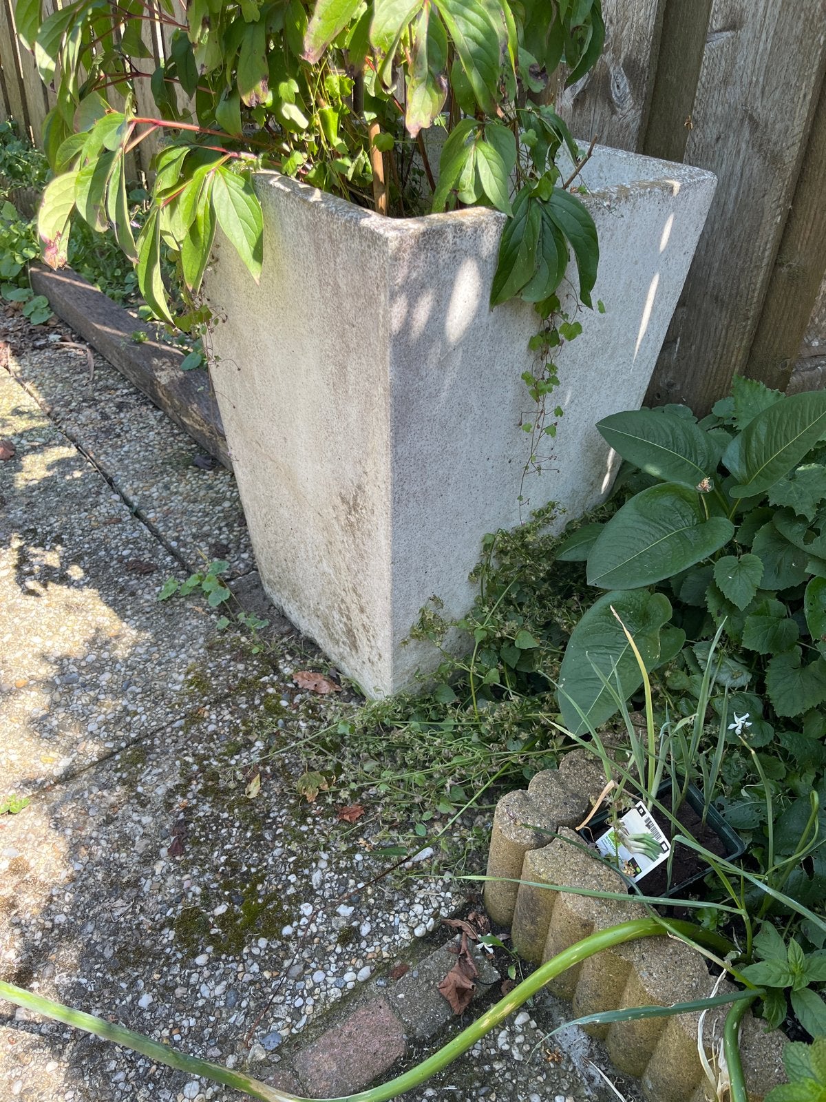 Grote betonnen plantenbak - Taps toelopend, Tuin en Terras, Bloembakken en Plantenbakken, Ophalen, Gebruikt, Balkon, Minder dan 60 cm