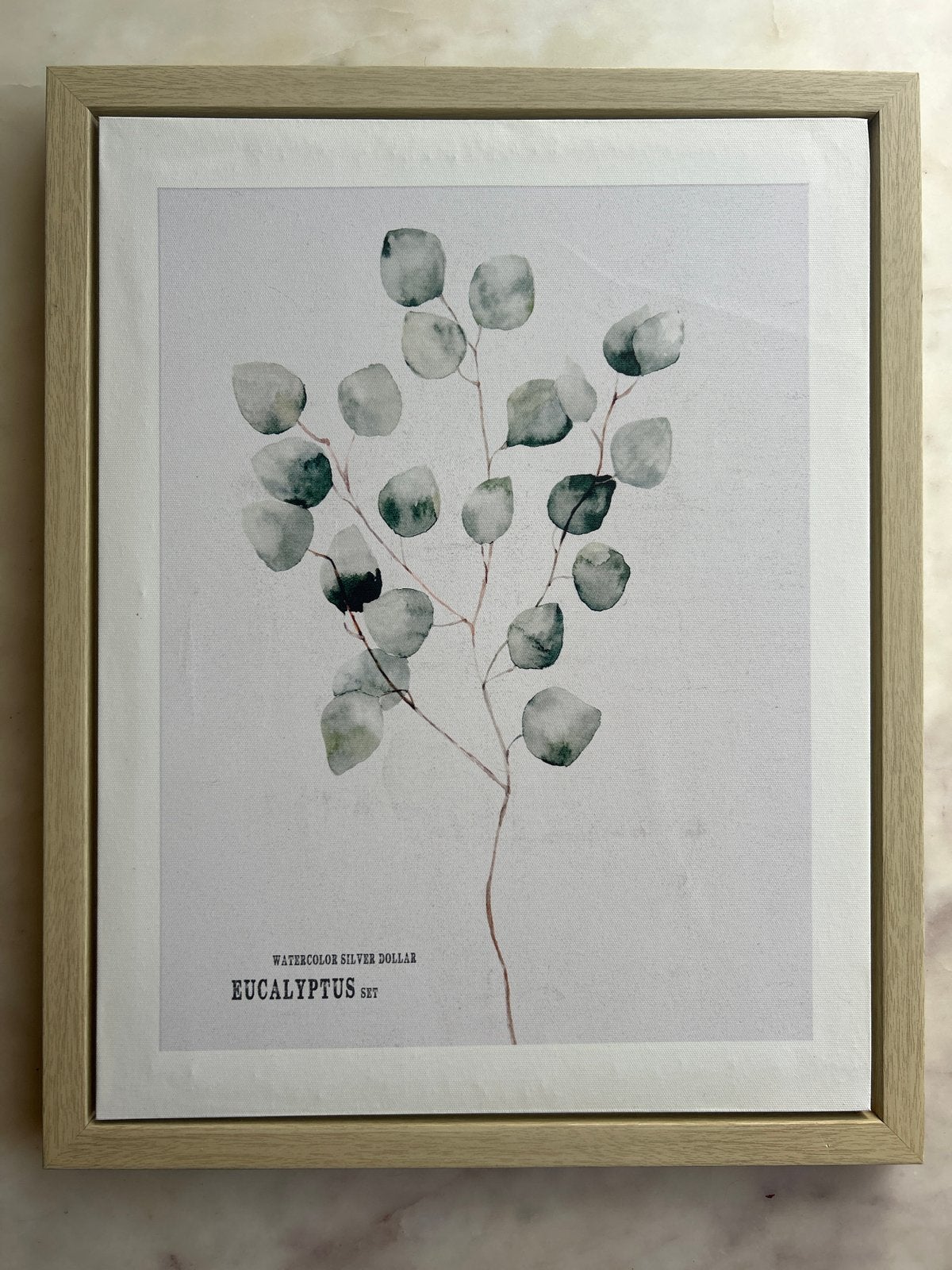 Eucalyptus print in lijst - 50x40 cm, Huis en Inrichting, 50 – 75, Minder dan 50 cm, Ophalen of Verzenden, Print