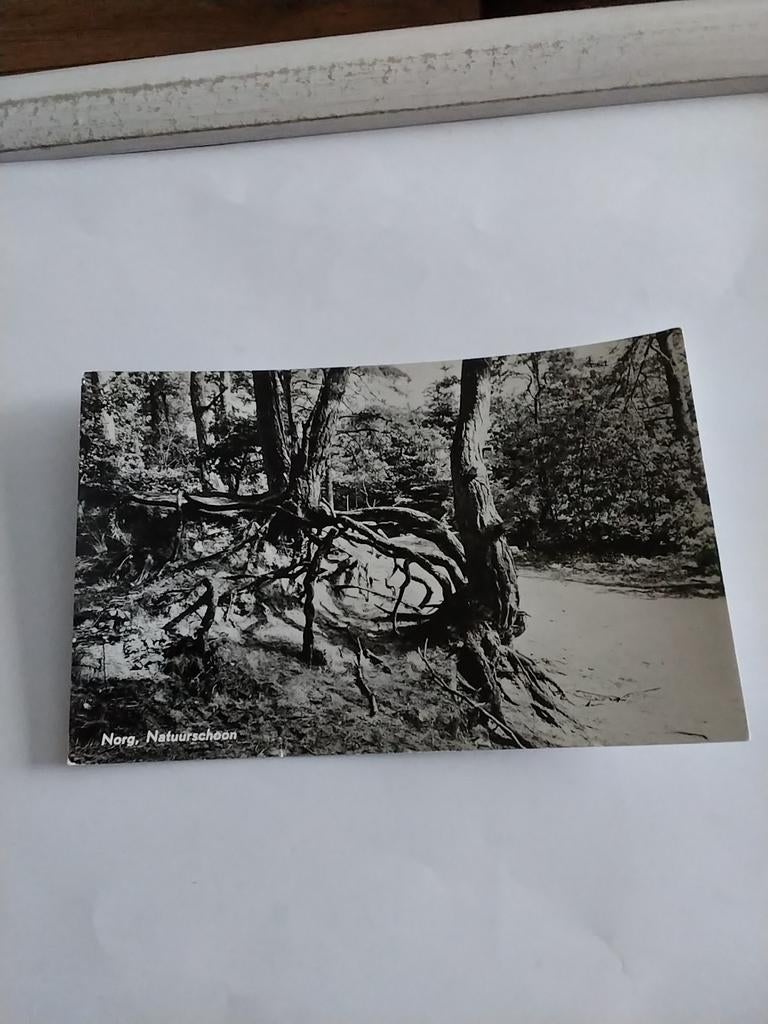 NORG. NATUURSCHOON. 1963, Ophalen of Verzenden, 1960 tot 1980, Zuid-Holland
