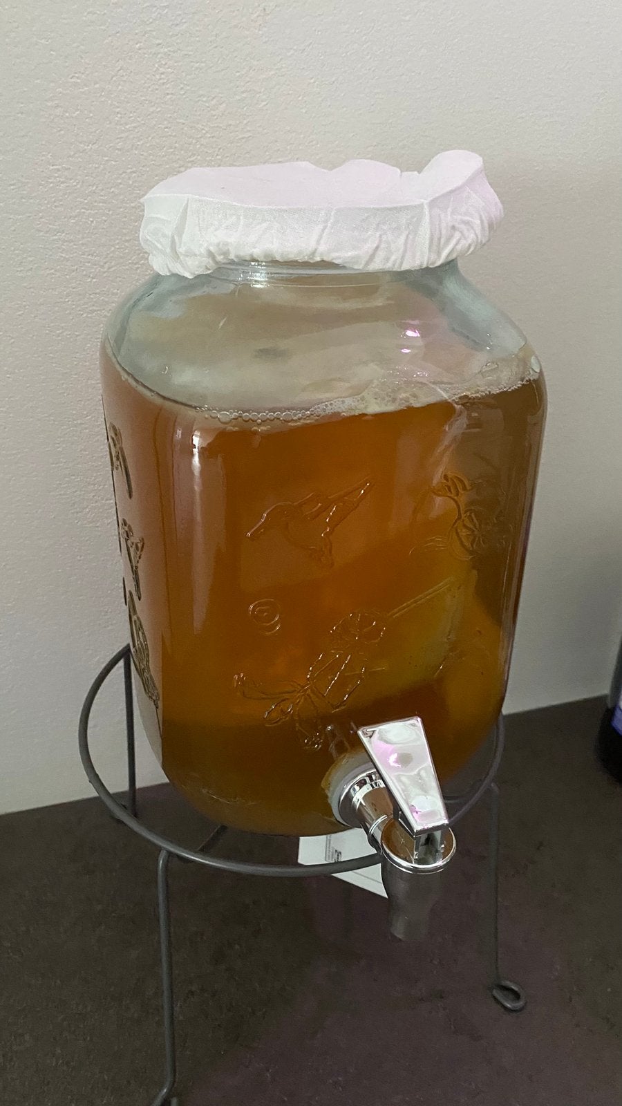 Scoby + starter vloeistof voor Kombucha - biologisch & vers, Ophalen of Verzenden