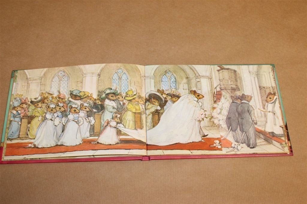 Doortje Dondersteen Bruiloft Vierde — Woordloos Prentenboek, Ophalen of Verzenden, Gelezen