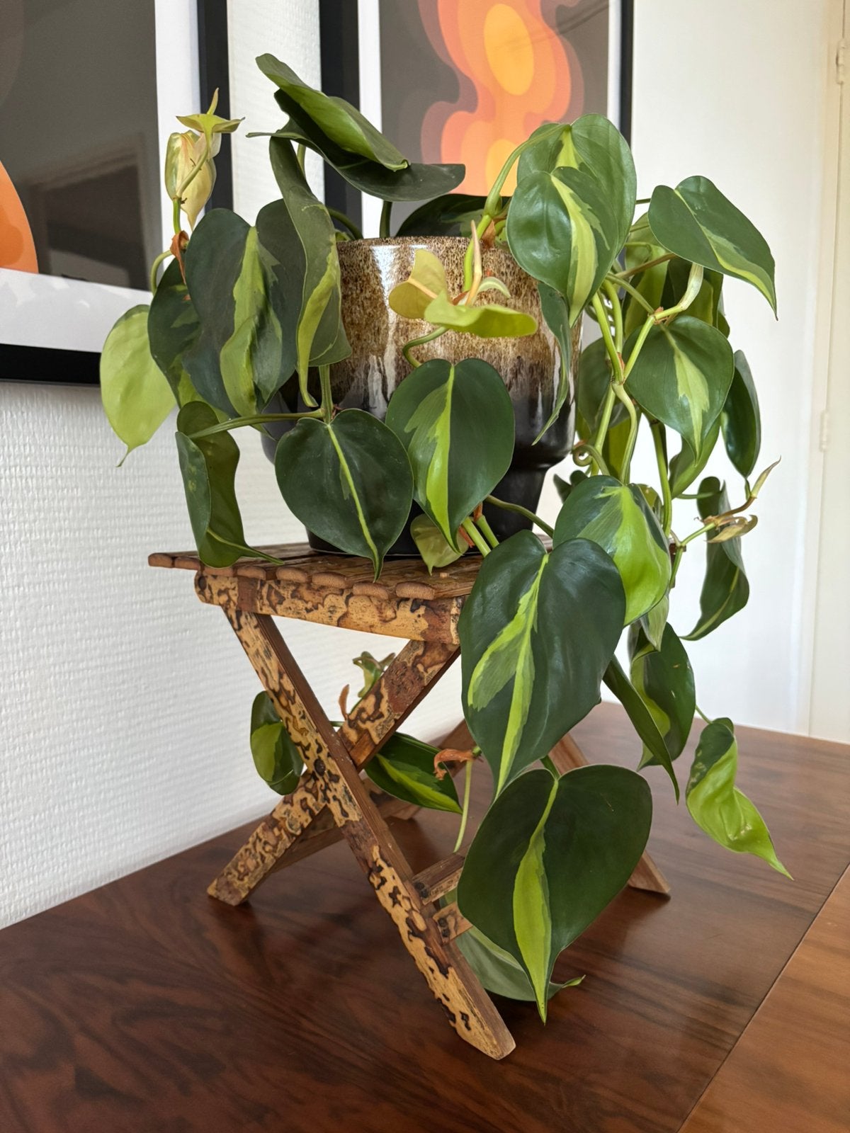 Mid-Century schildpad bamboe inklapbaar tafeltje/krukje, Ophalen, Hout