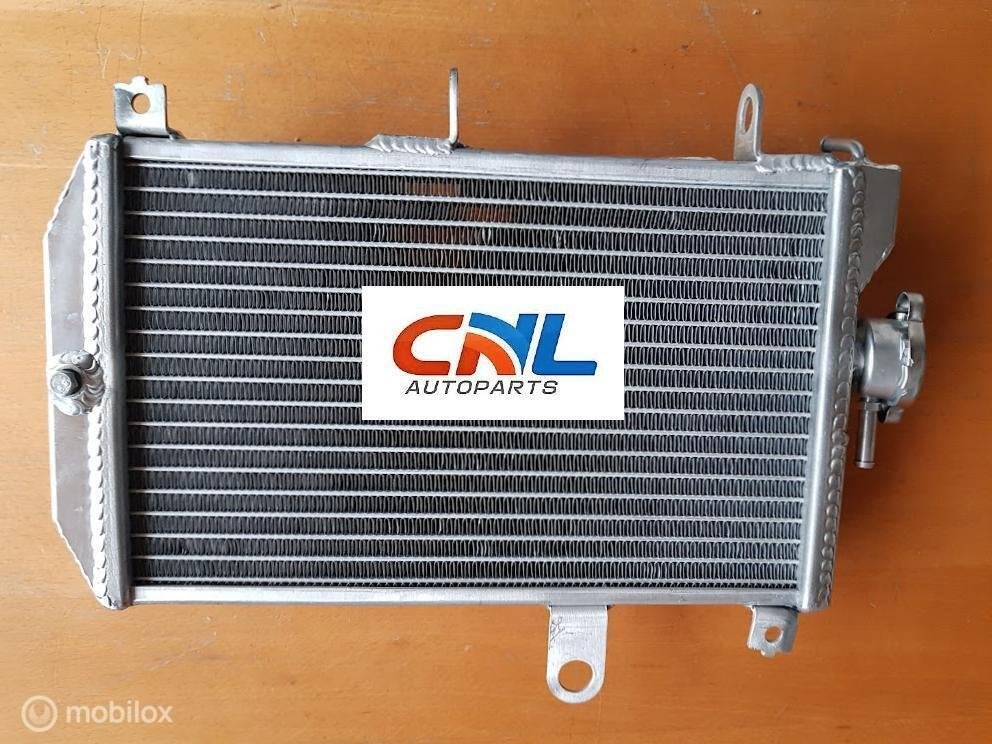 Radiateur Suzuki BURGMAN 650 AN650/AN650Z 2013-2017 radiator, Nieuw, Ophalen of Verzenden