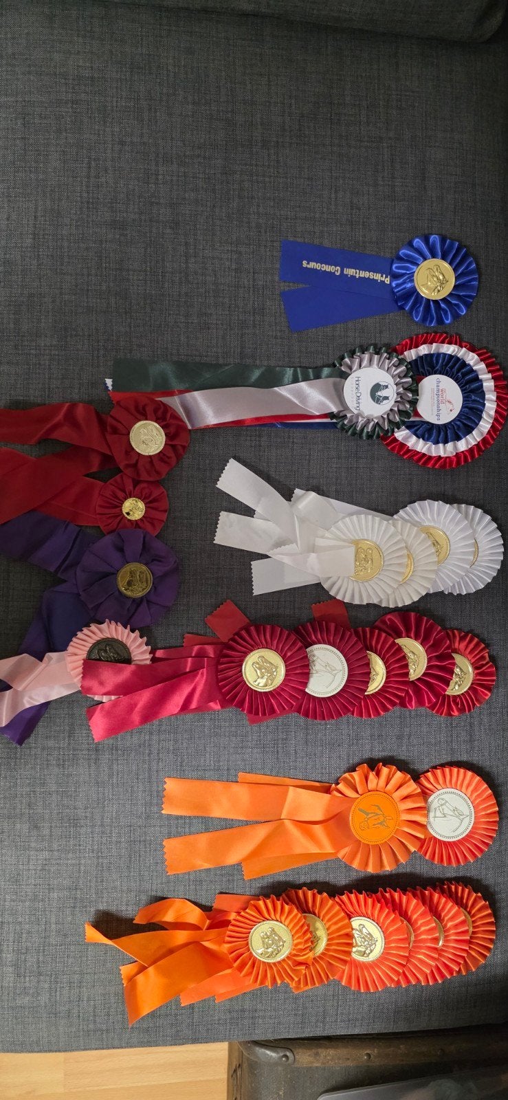 Rozetten paardensport, Ophalen of Verzenden, Nieuw