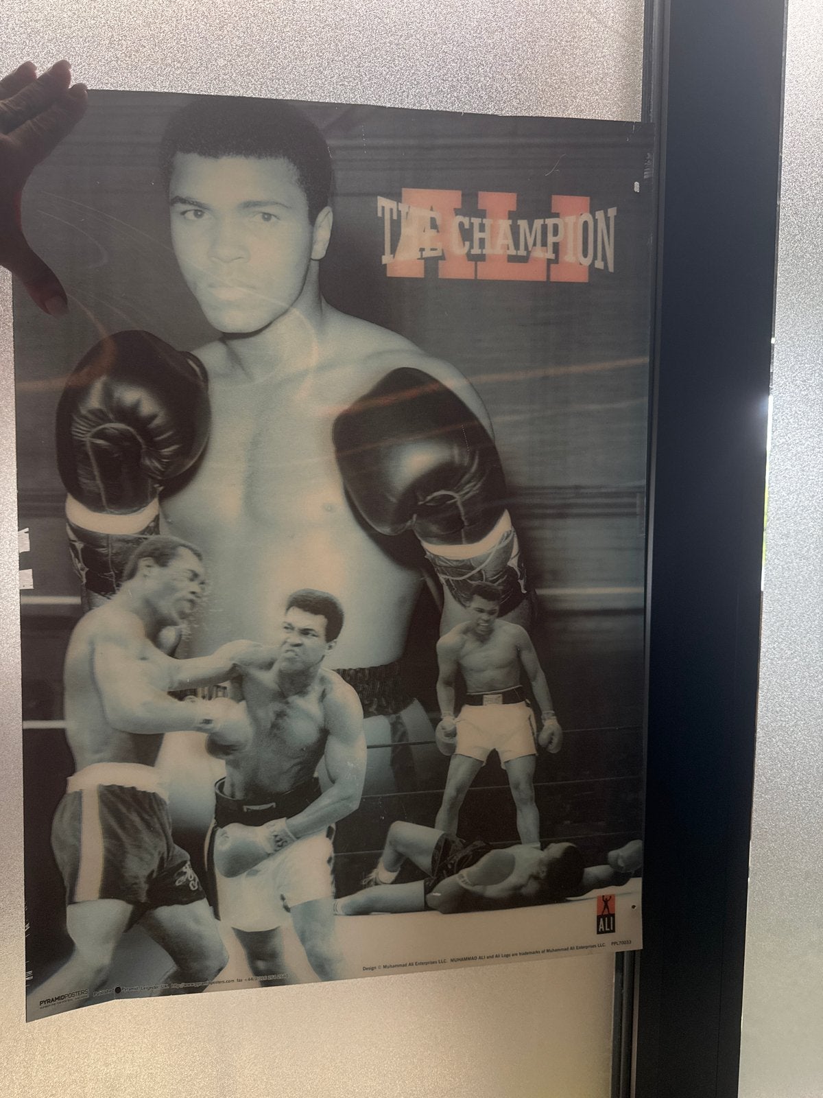 Muhammad Ali 'The Champion' Poster - Sport Legende, Verzamelen, Ophalen of Verzenden, Sport, A1 t/m A3, Rechthoekig Staand