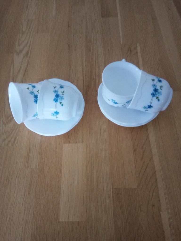 Arcopal Veronica kop en schotels, Ophalen of Verzenden