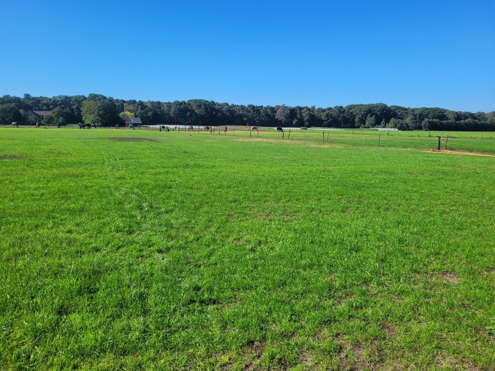 stalling aangeboden, Dieren en Toebehoren, Stalling, 2 of 3 paarden of pony's