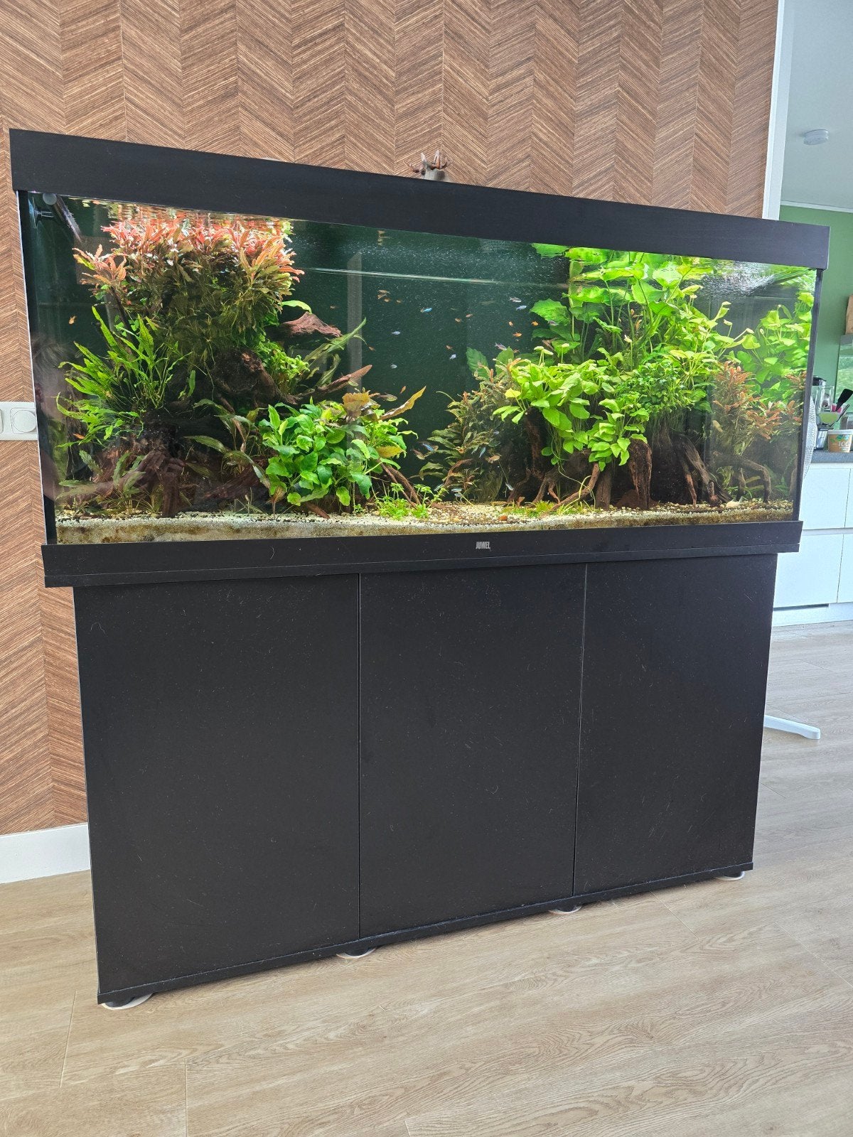 juwel rio 450 incl pompen, co2 en inhoud. 2 jaar oud., Dieren en Toebehoren, Vissen | Aquaria en Toebehoren, Ophalen, Zo goed als nieuw