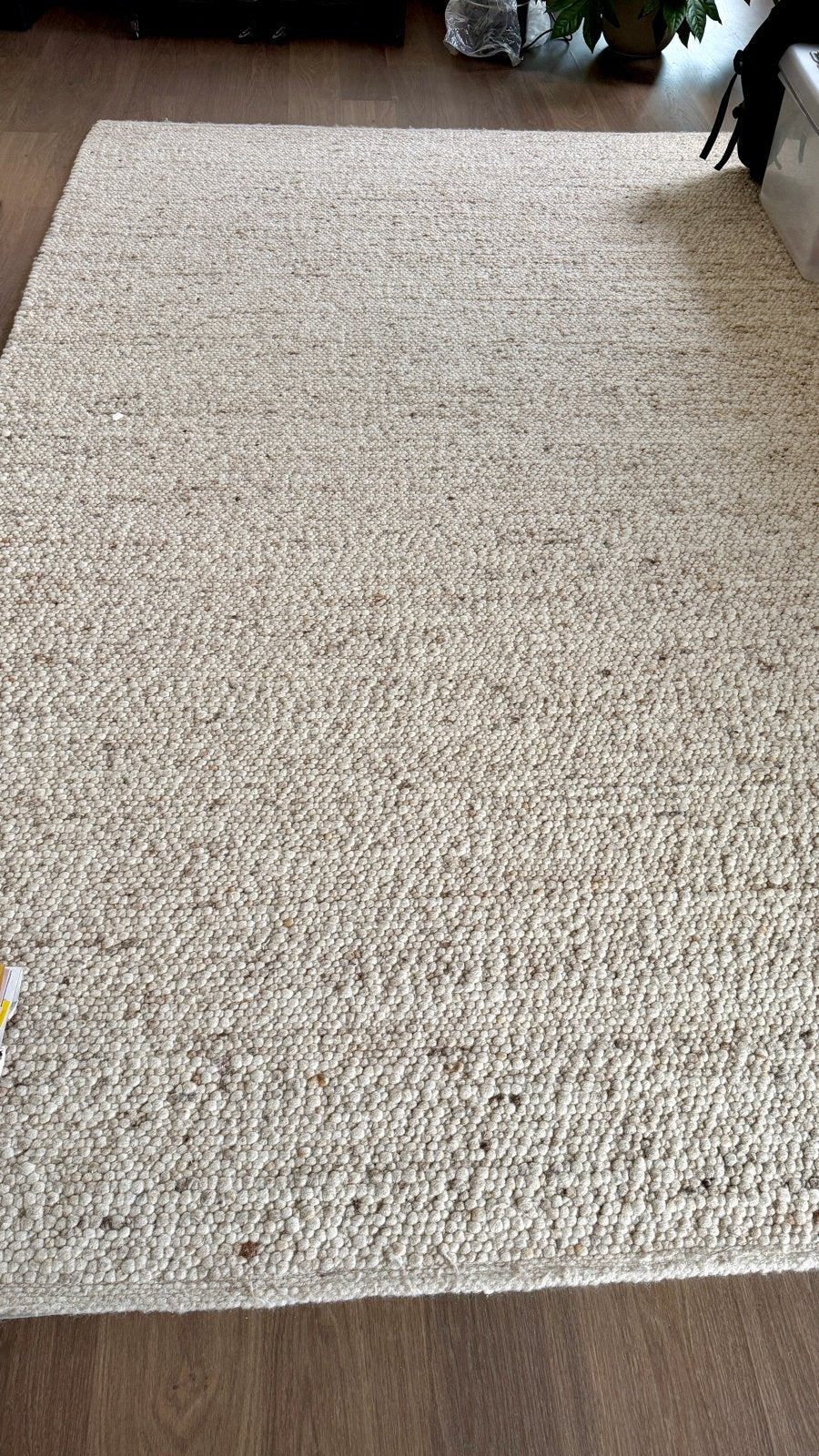 Echt wollen geknoopt tapijt 300x200 cm Z.G.A.N., Ophalen, Gebruikt, Beige, 200 cm of meer