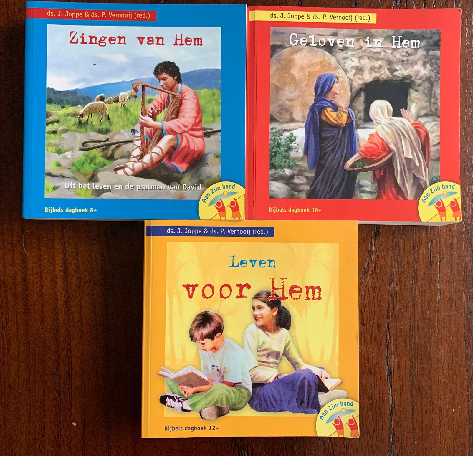 3 bijbelse dagboeken voor kinderen ds J Joppe ds P. Vernooij, Ophalen of Verzenden, Gelezen