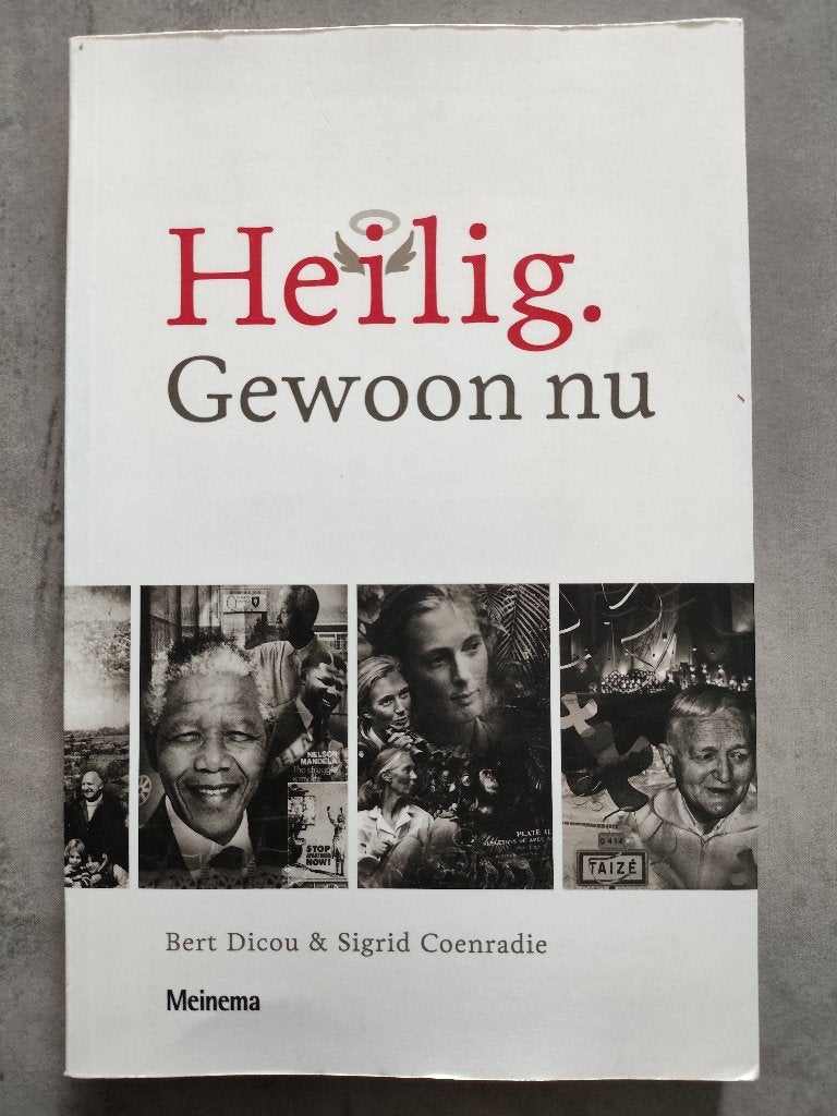 Heilig gewoon nu in nette staat, Ophalen of Verzenden, Zo goed als nieuw