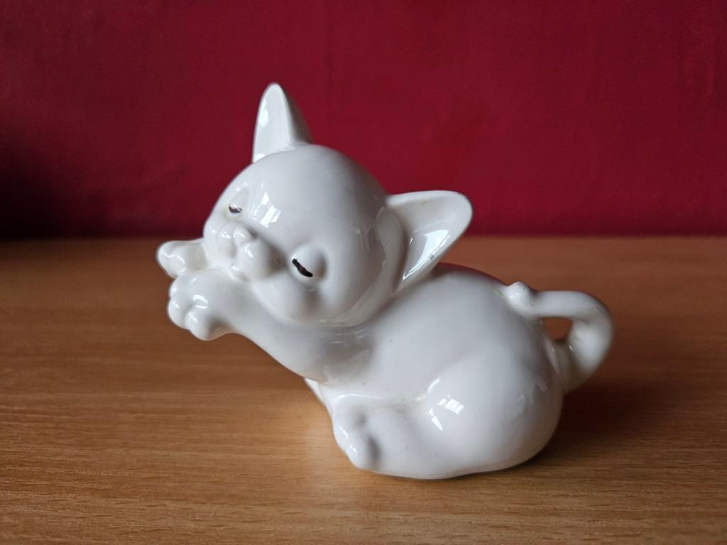 Kattenbeeld poezenbeeld, Ophalen of Verzenden, Gebruikt, Dier