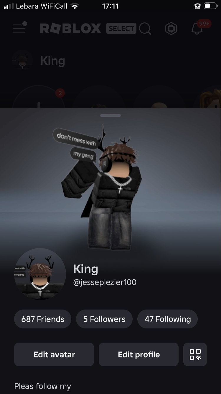 Roblox account, Spelcomputers en Games, Games | Overige, Zo goed als nieuw, Ophalen of Verzenden