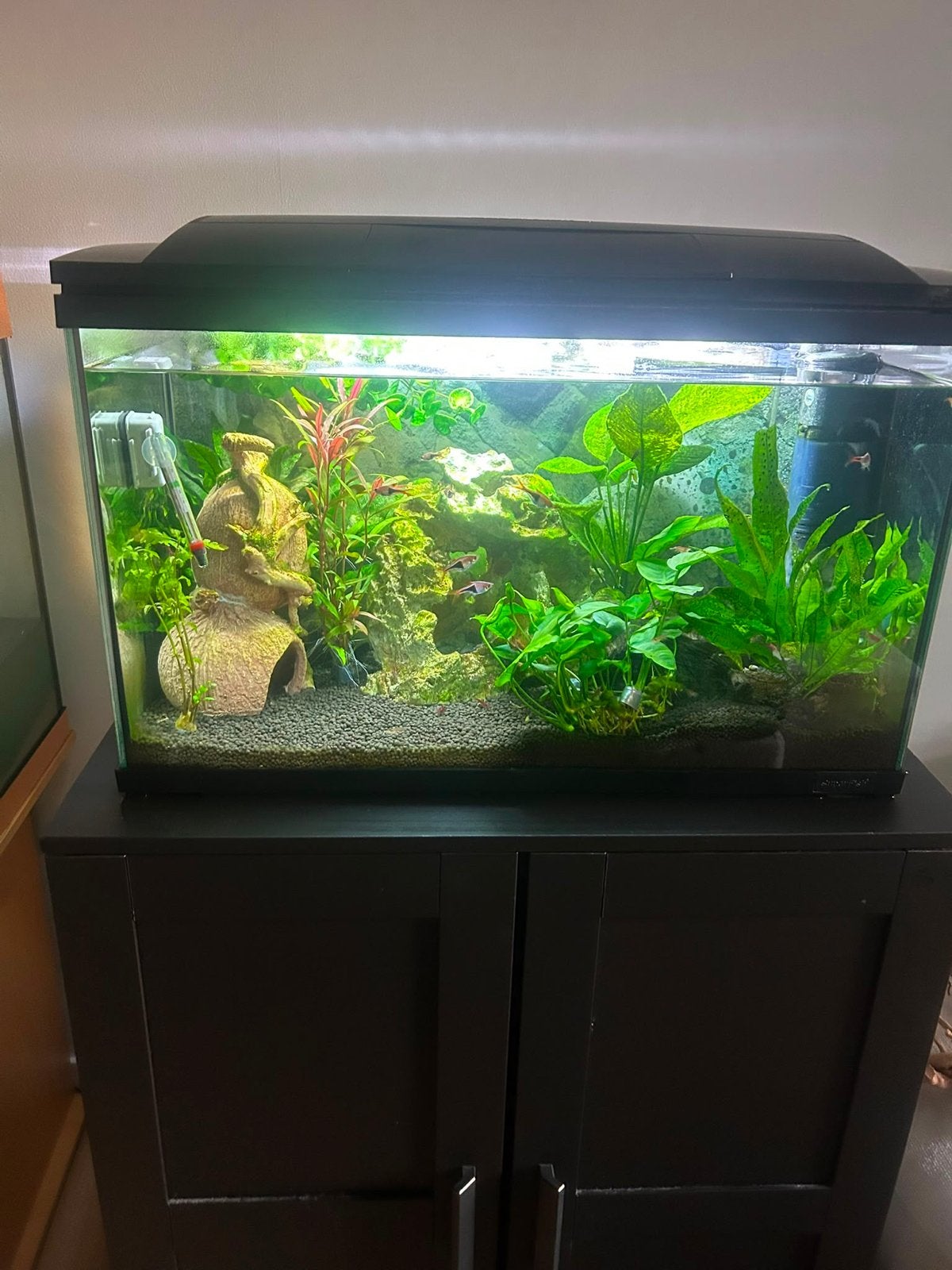 Aquarium, Ophalen, Leeg aquarium
