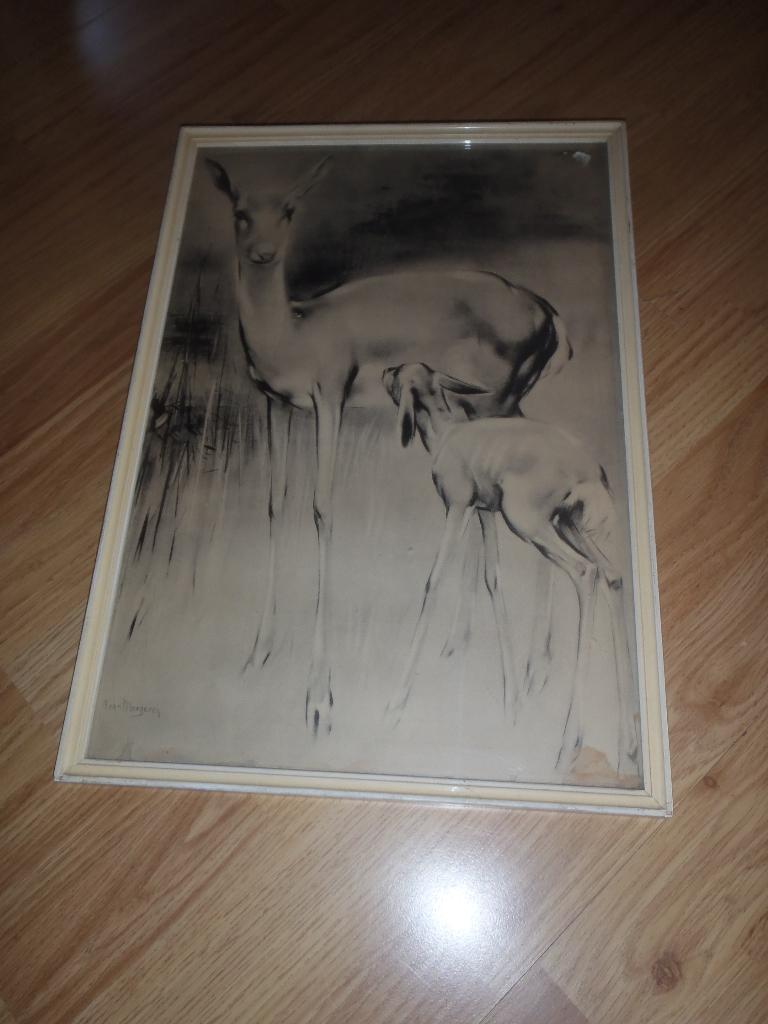 Een leuke   lijst  met Herten  47 x 33 cm, Minder dan 50 cm, Ophalen of Verzenden, Zo goed als nieuw, Minder dan 50 cm