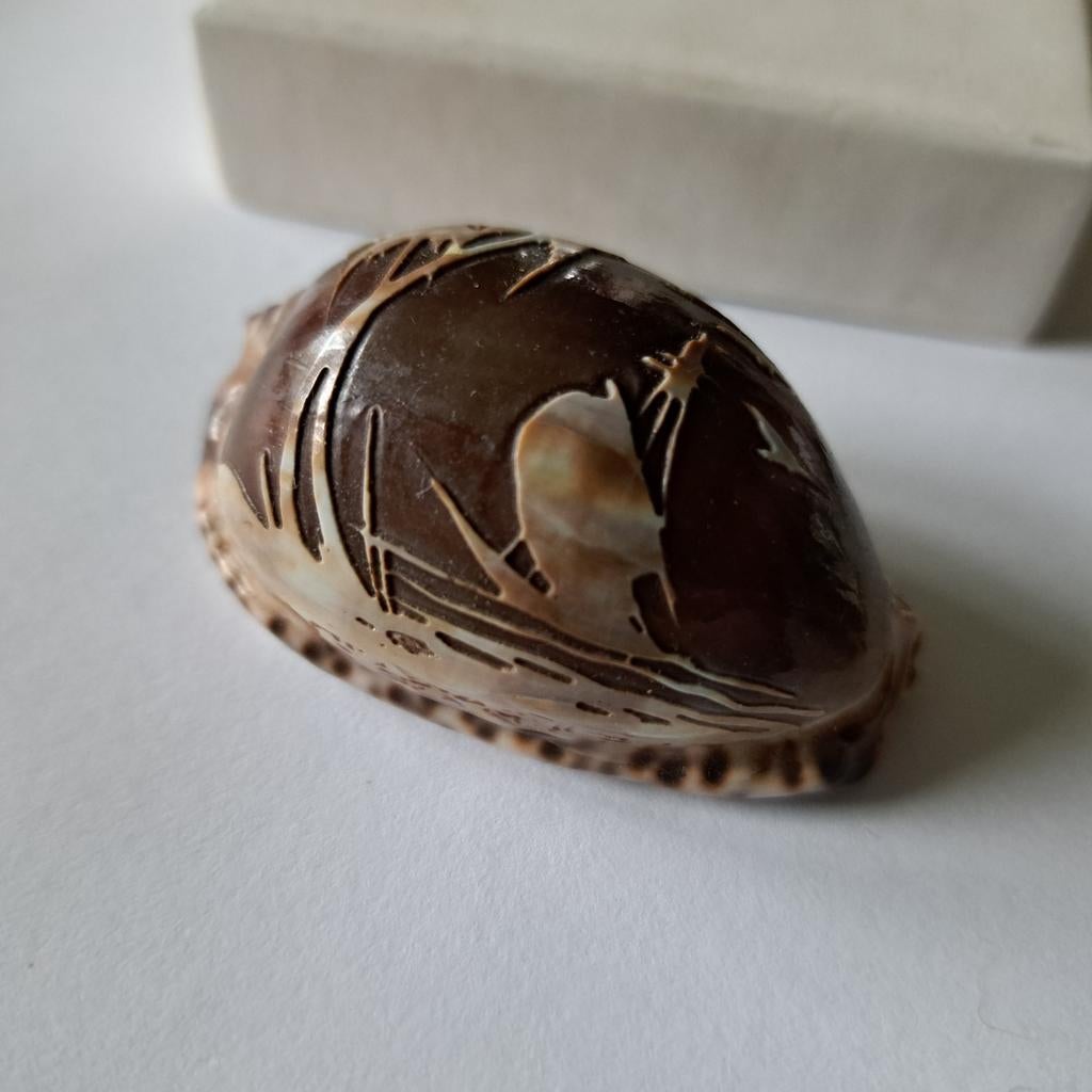 Schelp camee gesneden bootje, Antiek en Kunst, Verzenden