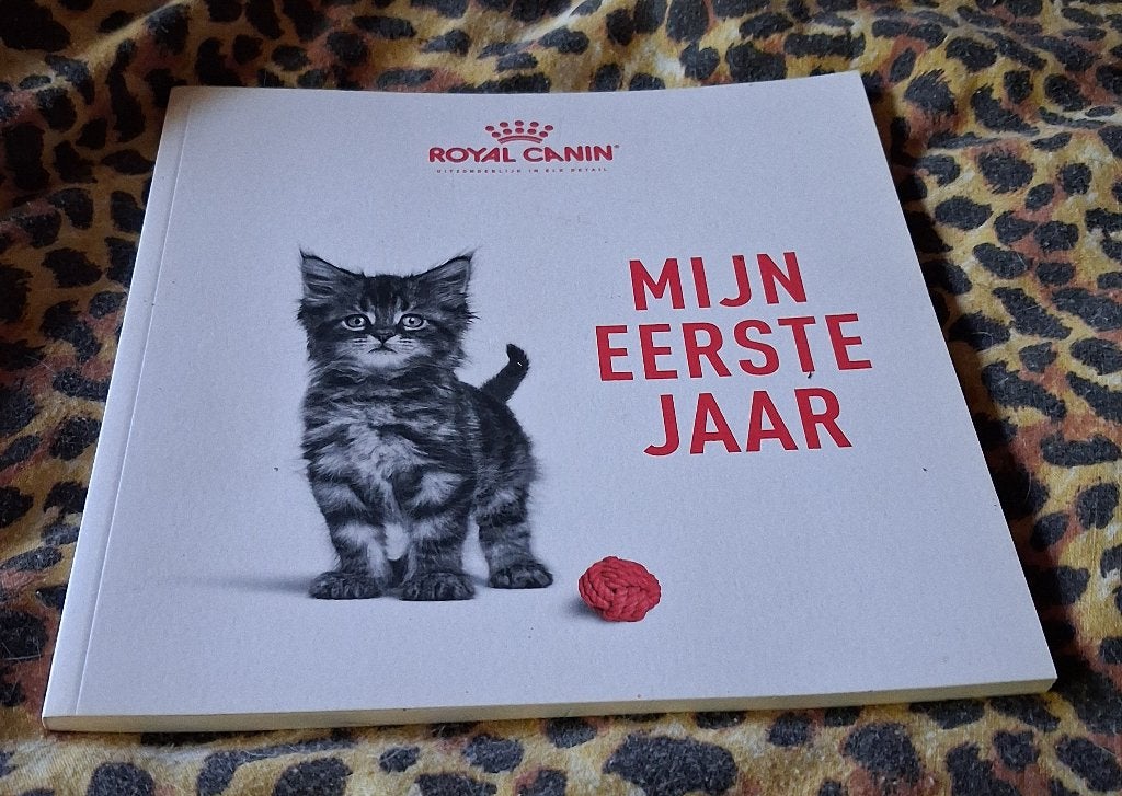 Leuk kitten invul boek met tips "Mijn eerste jaar", Boeken, Dieren en Huisdieren, Ophalen of Verzenden, Nieuw, Katten