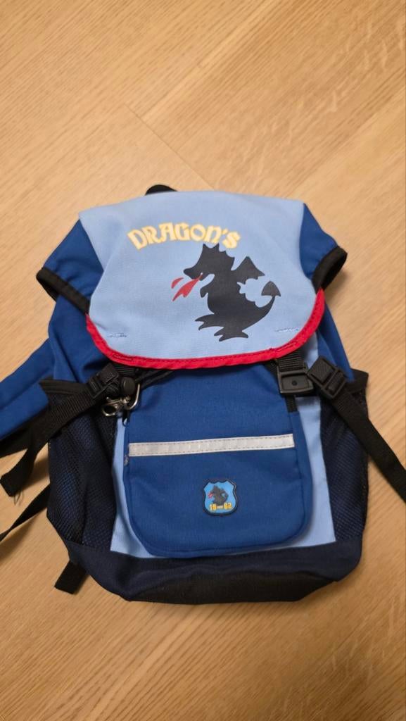 Leuke kinderrugzak met drakenprint - Zo goed als nieuw, Overige merken, Minder dan 30 cm, Ophalen of Verzenden, Minder dan 25 cm
