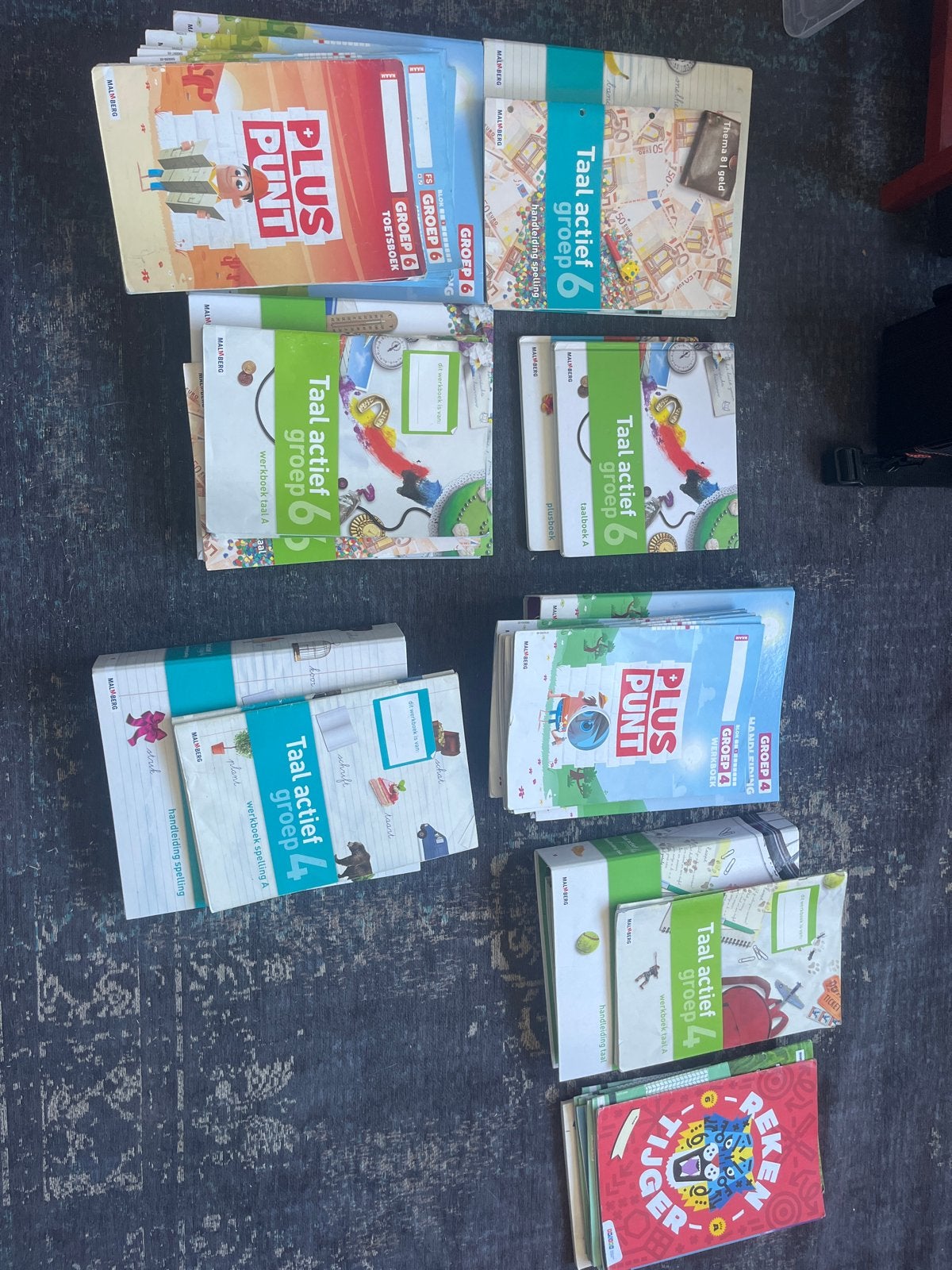 Schoolboeken basisschool groep 4 en 6 (Malmberg), Boeken, Ophalen of Verzenden, Gelezen, Overige niveaus, Nederlands