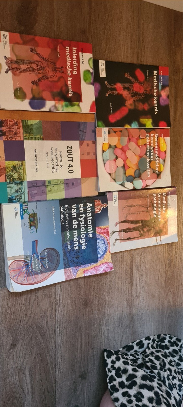 9789036817851 Medische kennis, Boeken, Ophalen of Verzenden, Zo goed als nieuw, E.A.F. Wentink