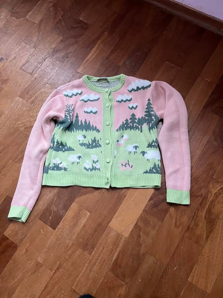 Vest, Ophalen of Verzenden, Zo goed als nieuw