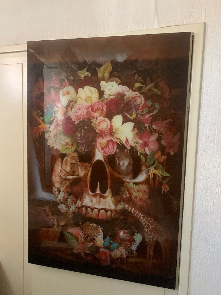 Schilderij op glas, Ophalen, Zo goed als nieuw, Schilderij, 75 tot 100 cm