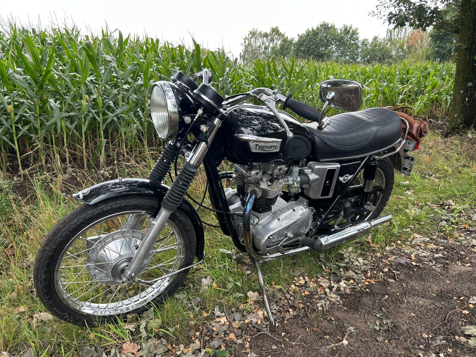 Triumph Bonville, Motoren, Overig