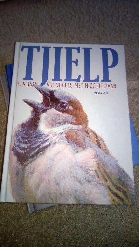 Boek - 559 - Tjielp - Nico de Haan, Ophalen of Verzenden, Zo goed als nieuw