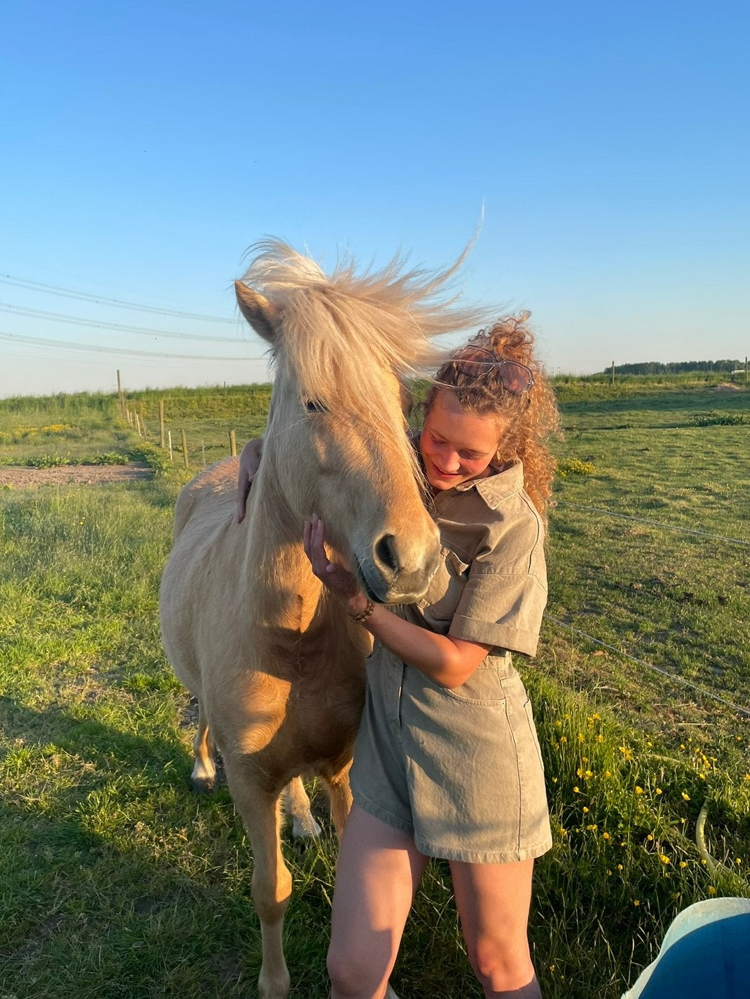 Verzorger gezocht omgeving Haarlem, Dieren en Toebehoren