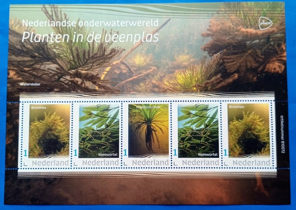 NVPH: V3642P: 9 "Nederlandse onderwaterwereld 2022", Postzegels en Munten, Postzegels | Nederland, Verzenden, Na 1940, Postfris