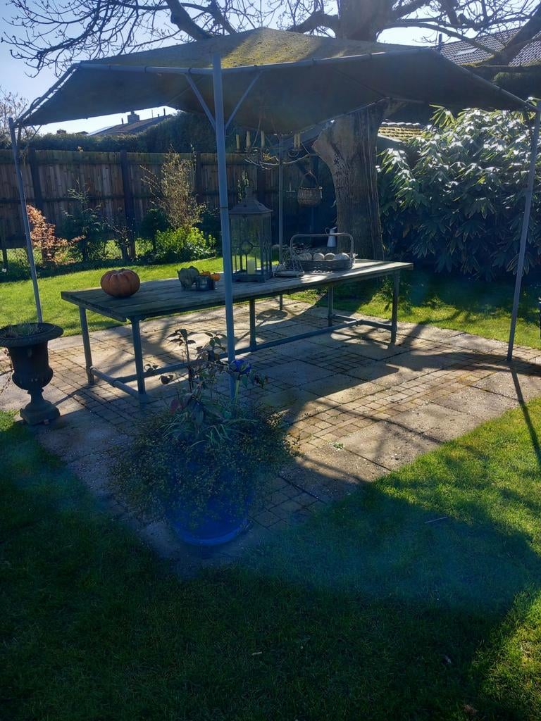 Lange 300 cm steigerhouten tafel met steigerbuizen onderstel, Ophalen